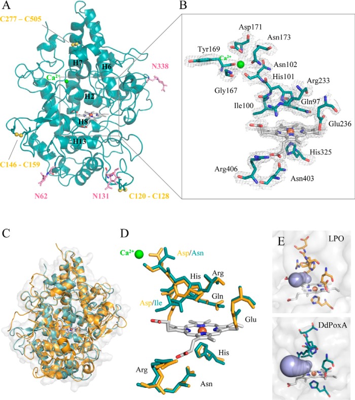 Figure 4.