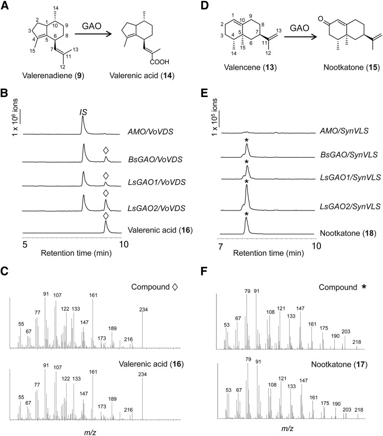 Figure 5.