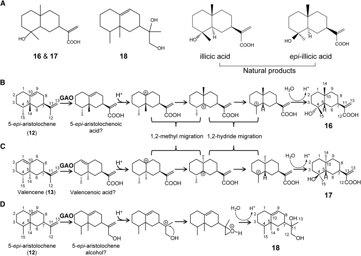 Figure 6.