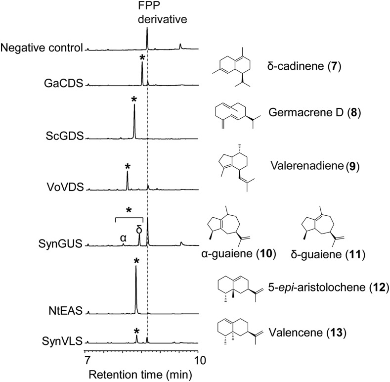 Figure 3.