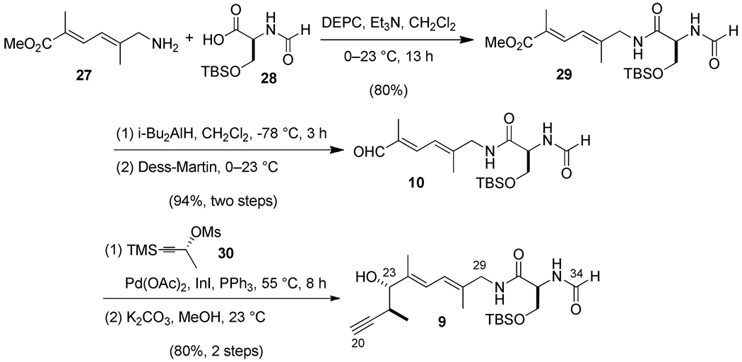 Scheme 6