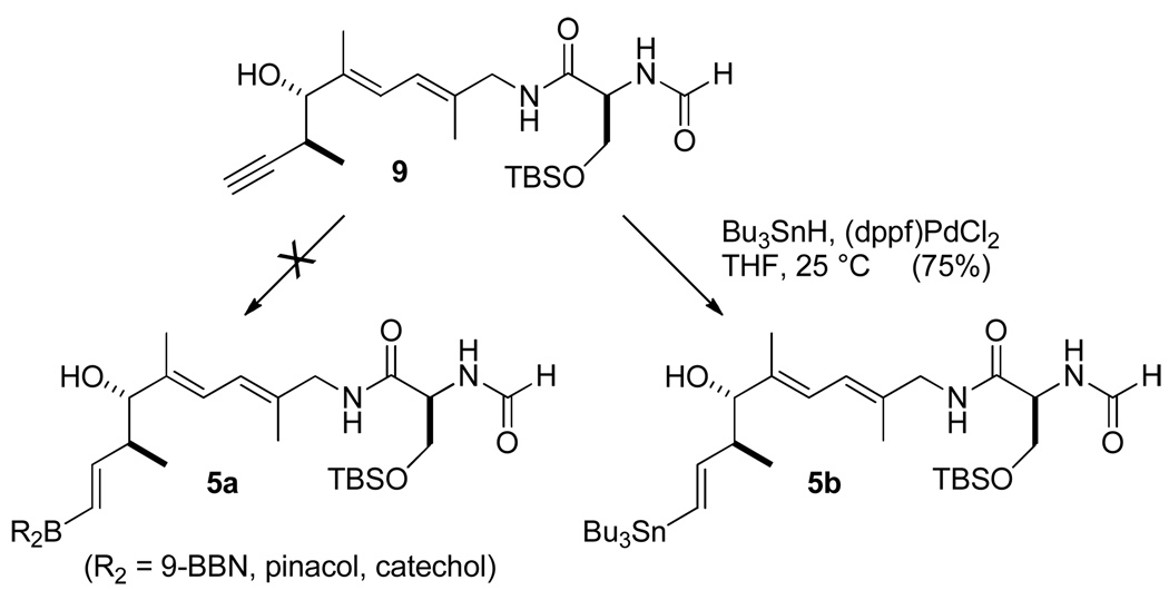 Scheme 8