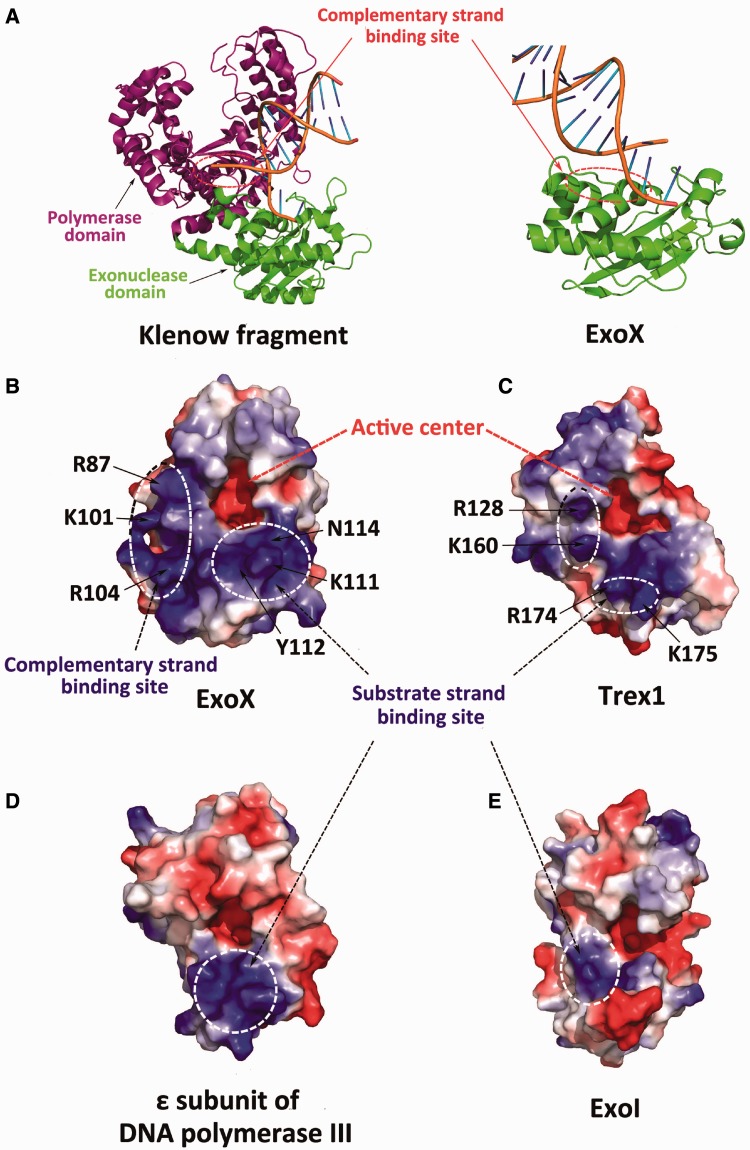 Figure 6.