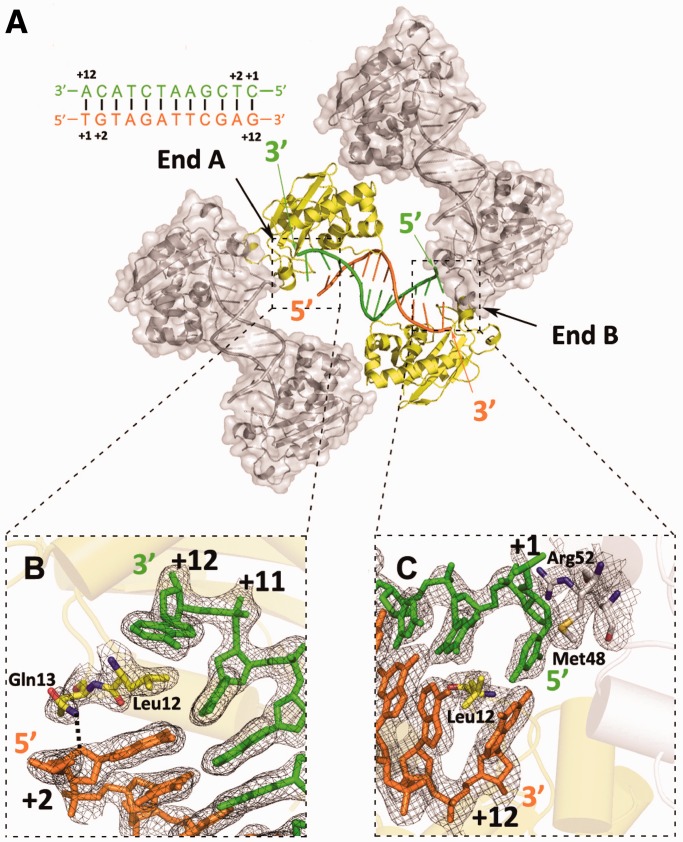 Figure 3.