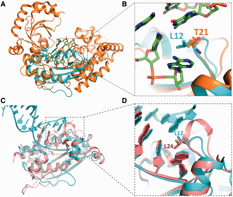 Figure 7.