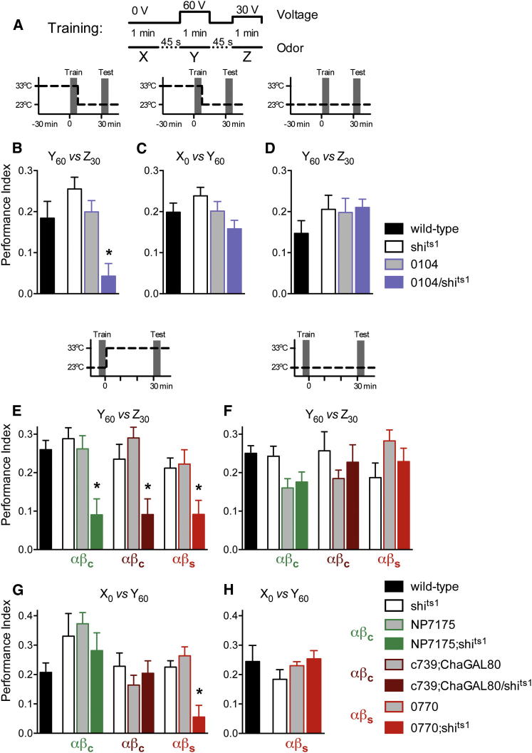 Figure 5