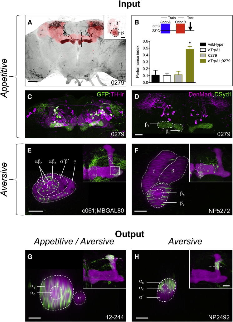 Figure 6