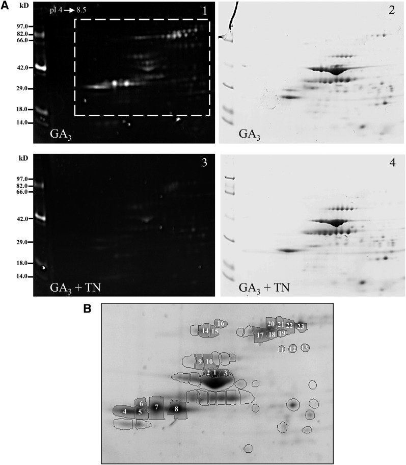 Figure 3.