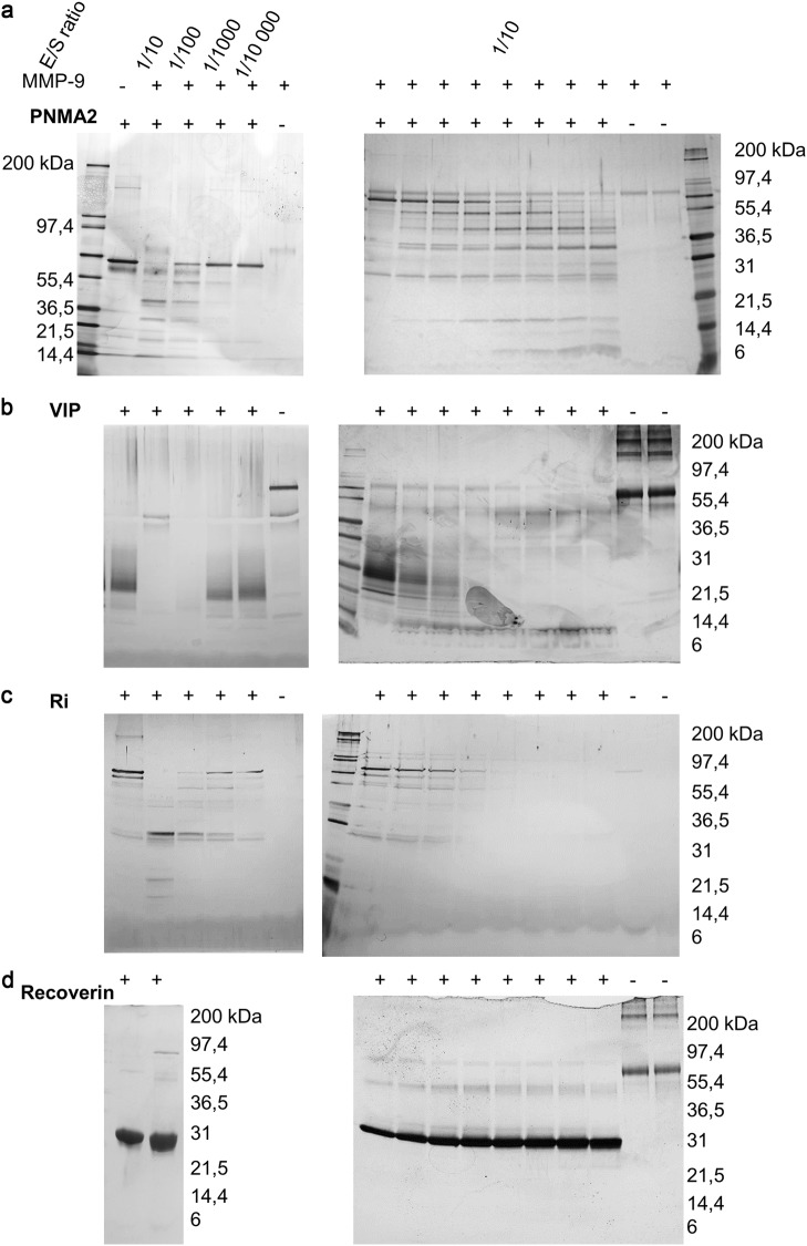 Fig. 5