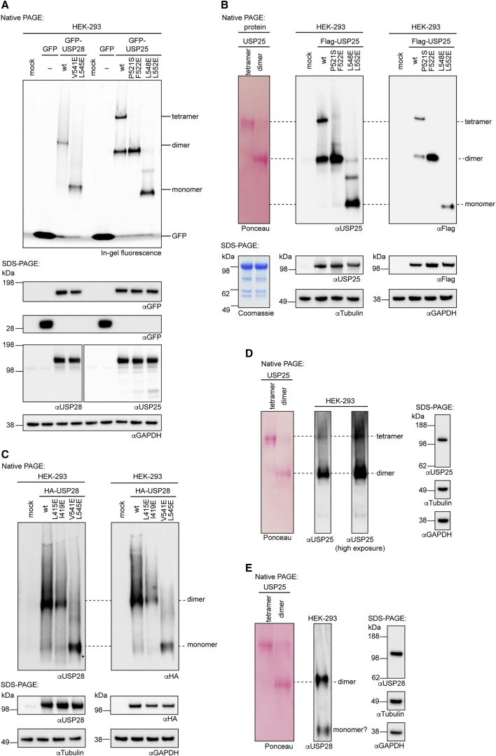 Figure 6