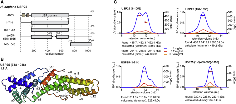 Figure 5