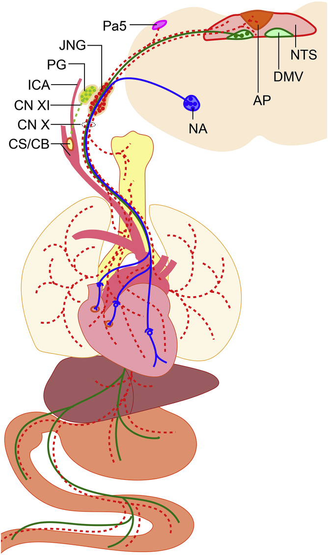 Figure 1