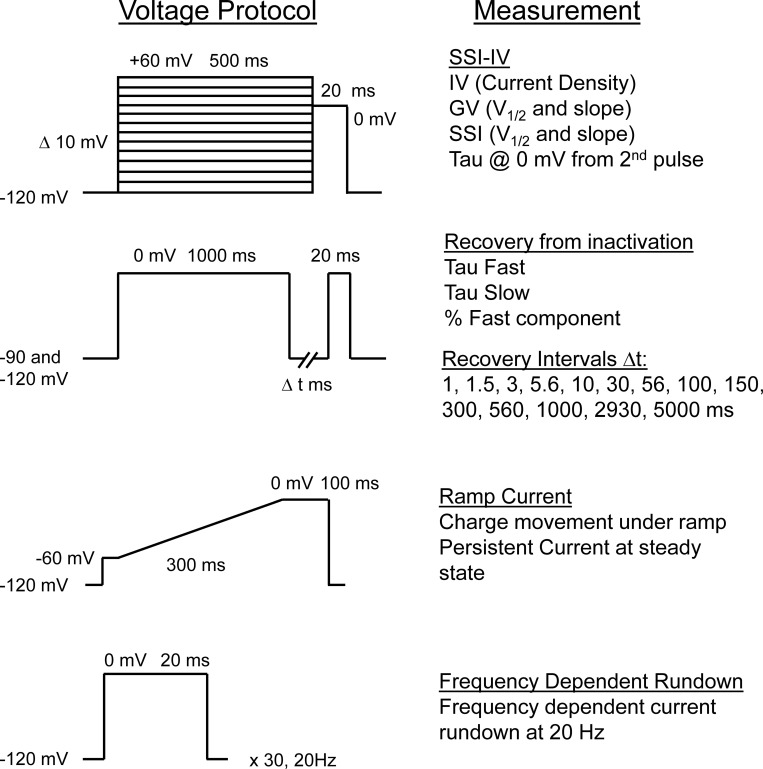 Figure S1.