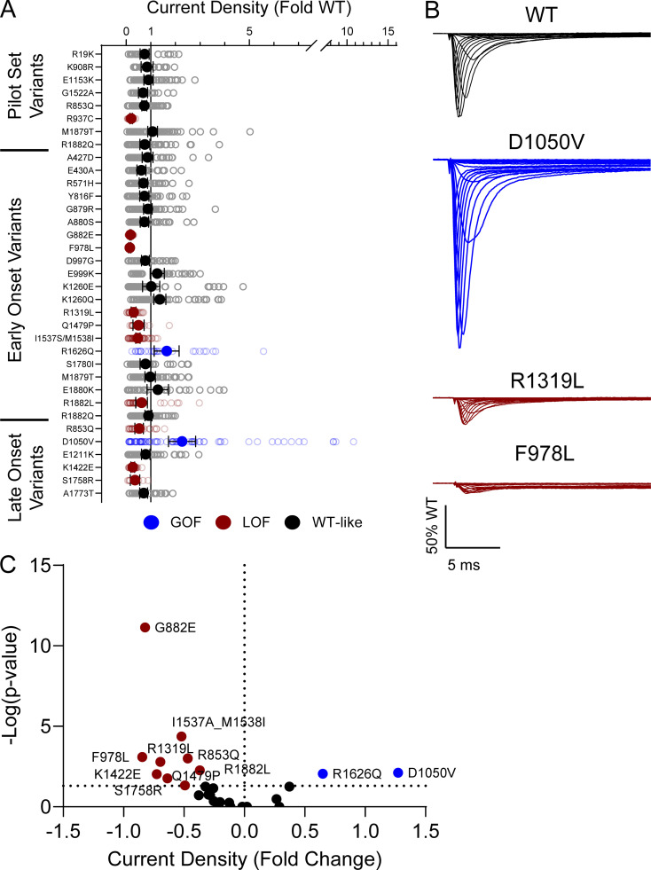 Figure 2.