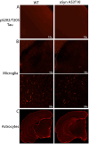 Fig 13