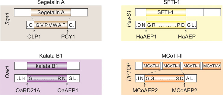 Figure 2.