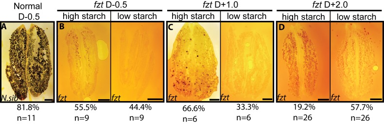 Fig 5