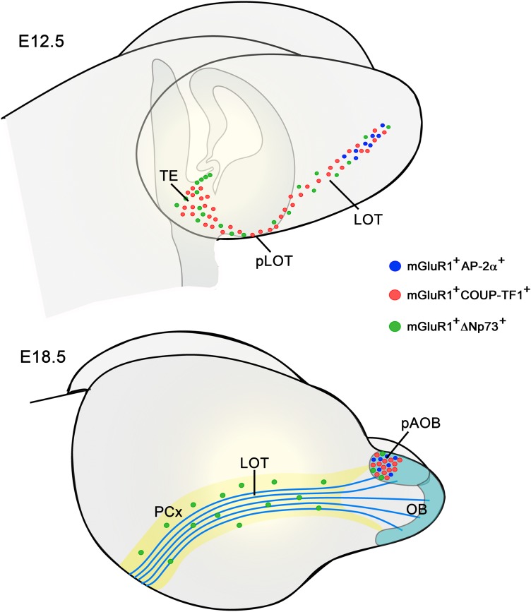 Figure 10.