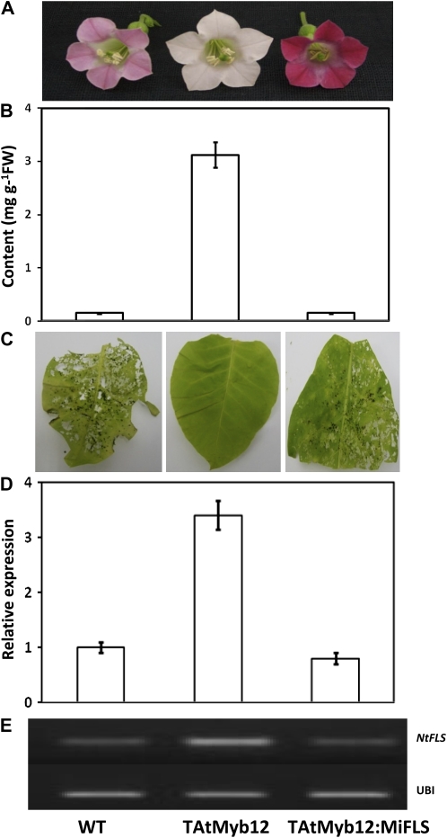 Figure 6.