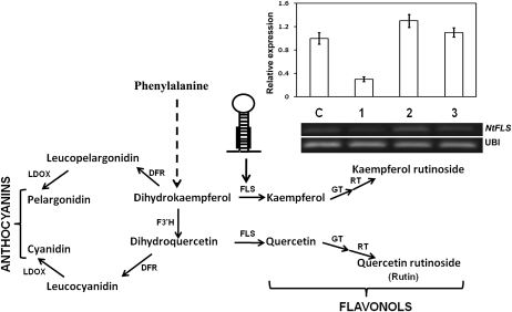 Figure 5.