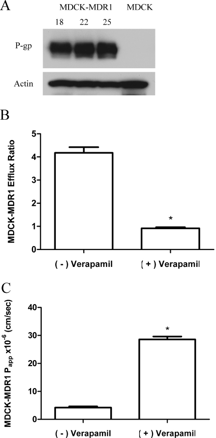 Fig. 6.