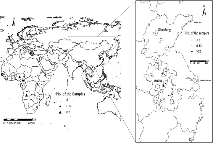 FIG 1