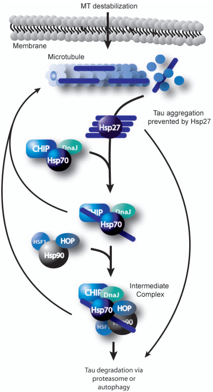 Fig. (2)