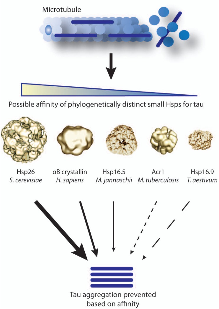 Fig. (3)