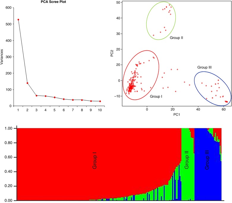 Figure 3.