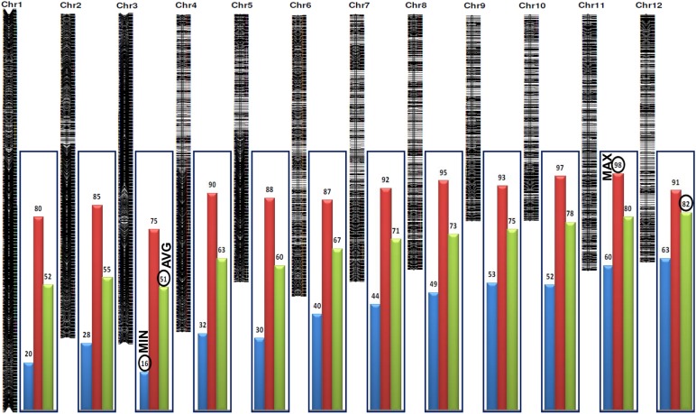 Figure 1.