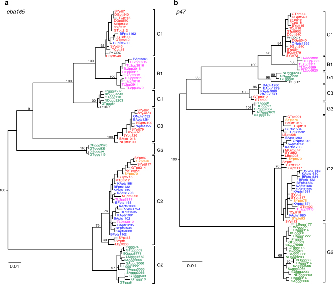 Fig. 3