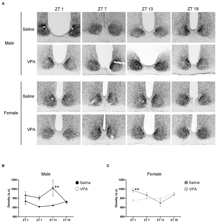 Figure 6