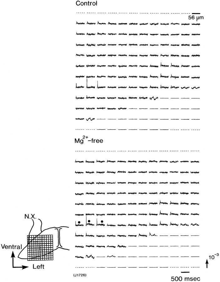 Fig. 8.