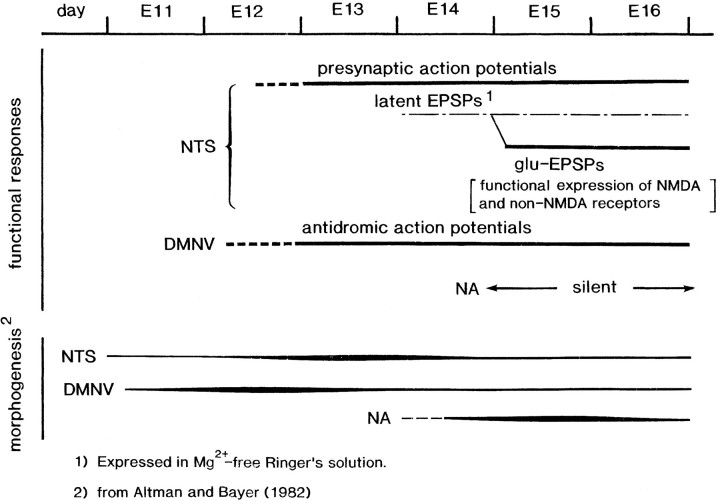 Fig. 17.