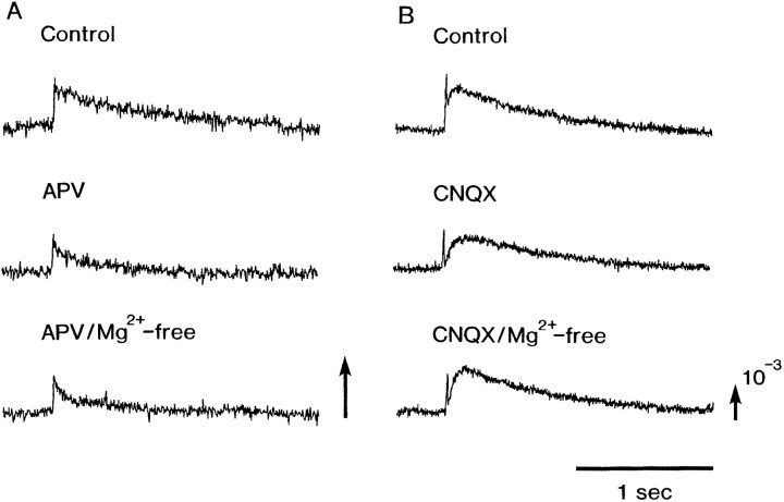 Fig. 10.