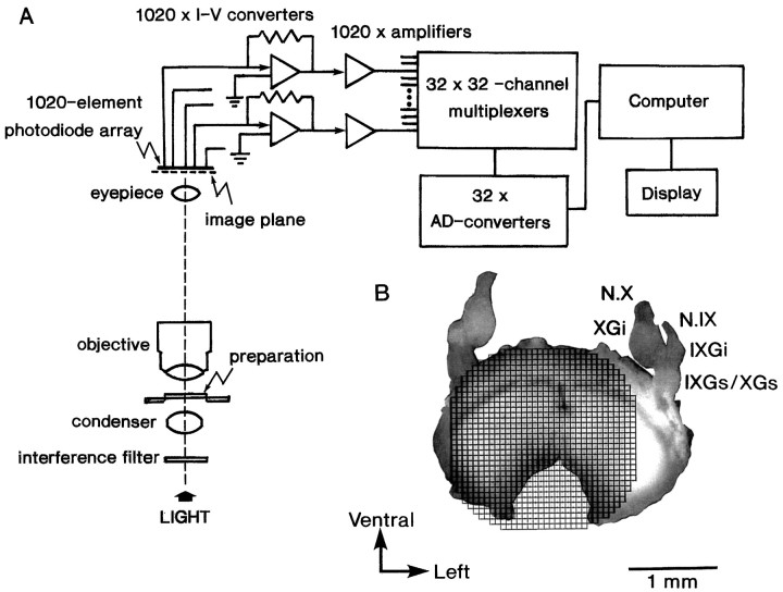 Fig. 1.