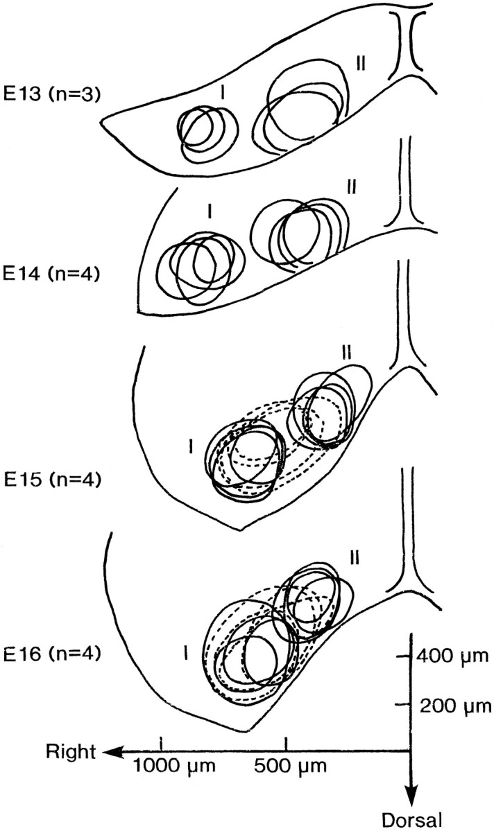 Fig. 12.