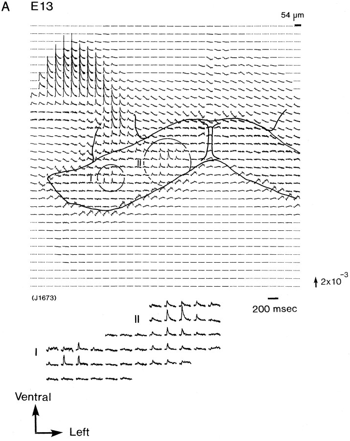 Fig. 2.