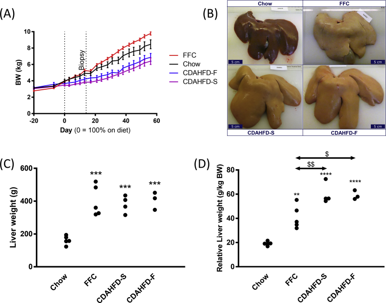 Figure 1