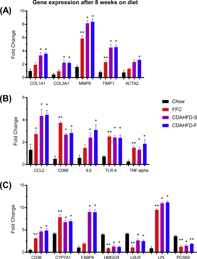 Figure 6