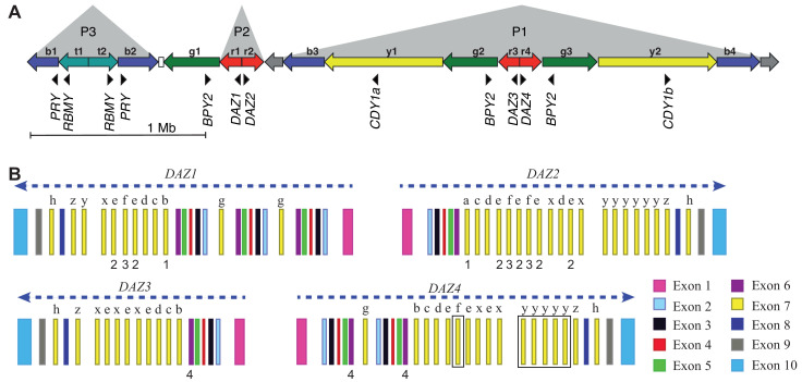 Figure 2—figure supplement 2.