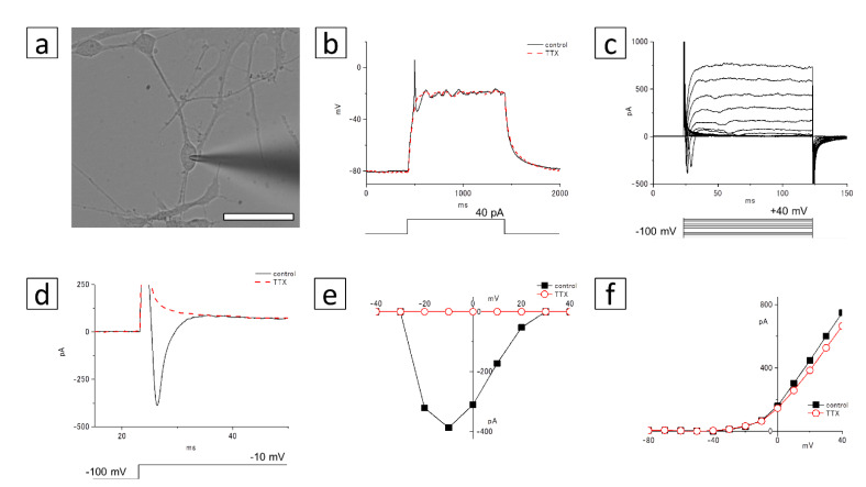 Figure 9