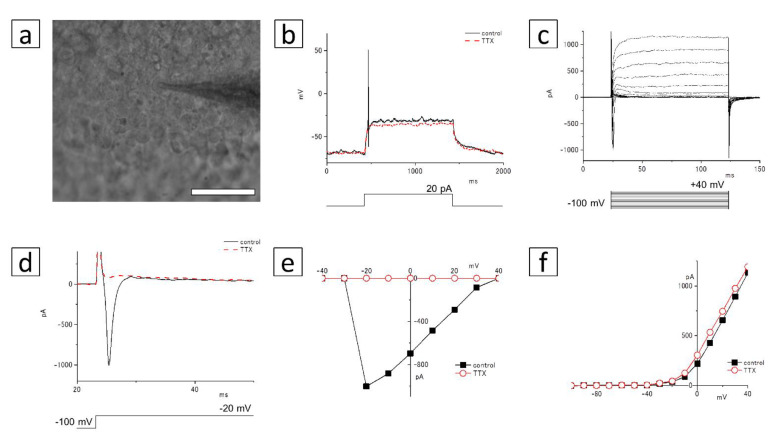 Figure 10