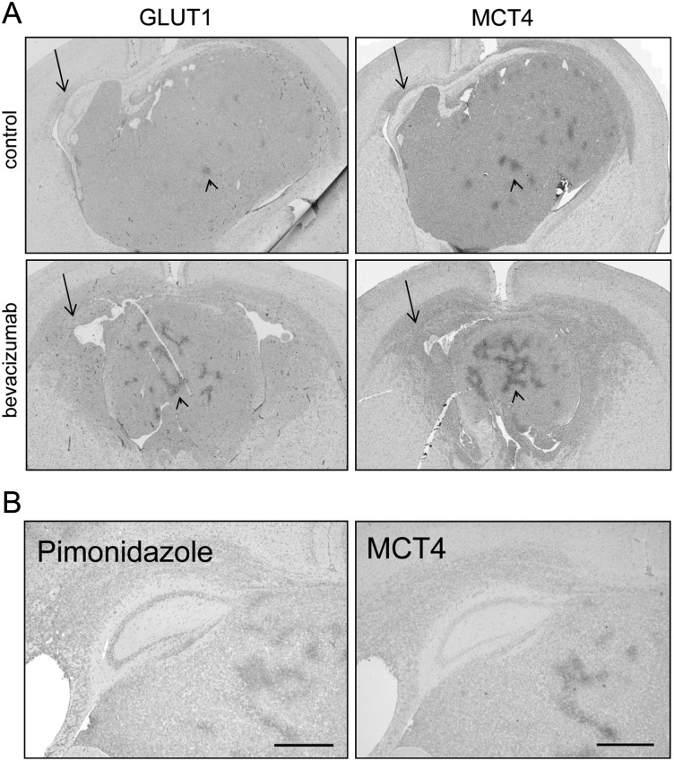 Fig. 4.