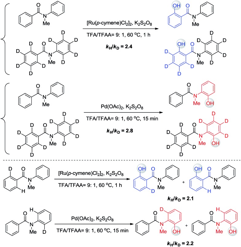 Scheme 6