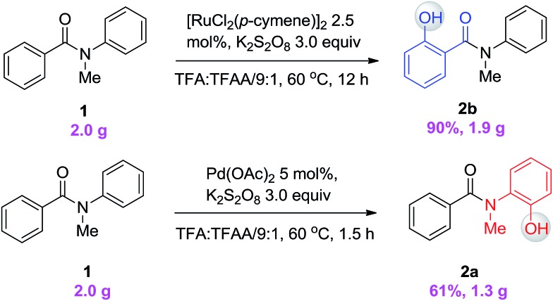 Scheme 3