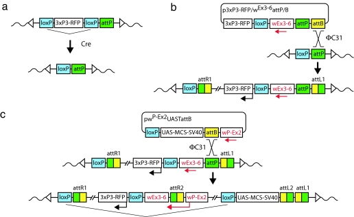 Fig. 3.