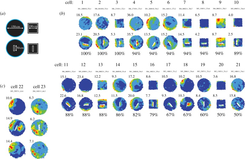 Figure 2.