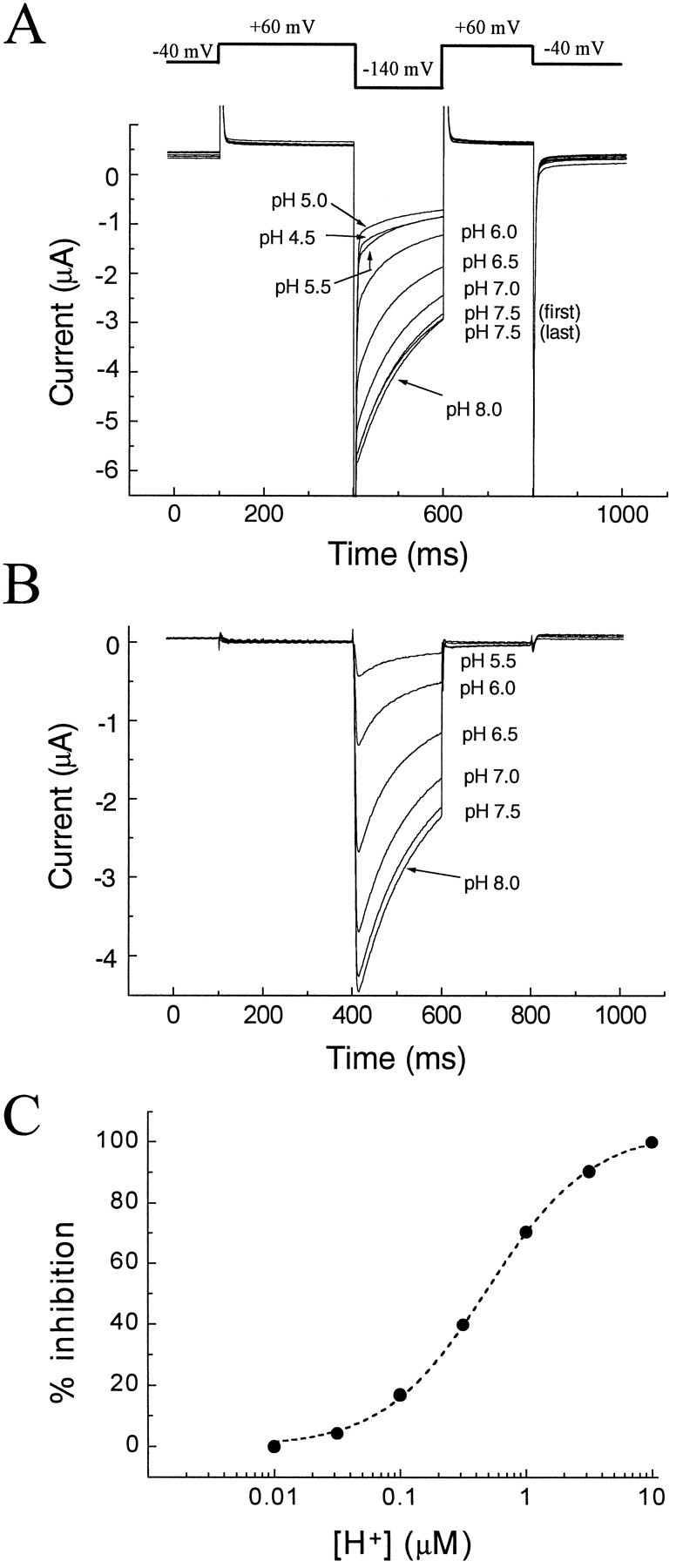 Fig. 7.