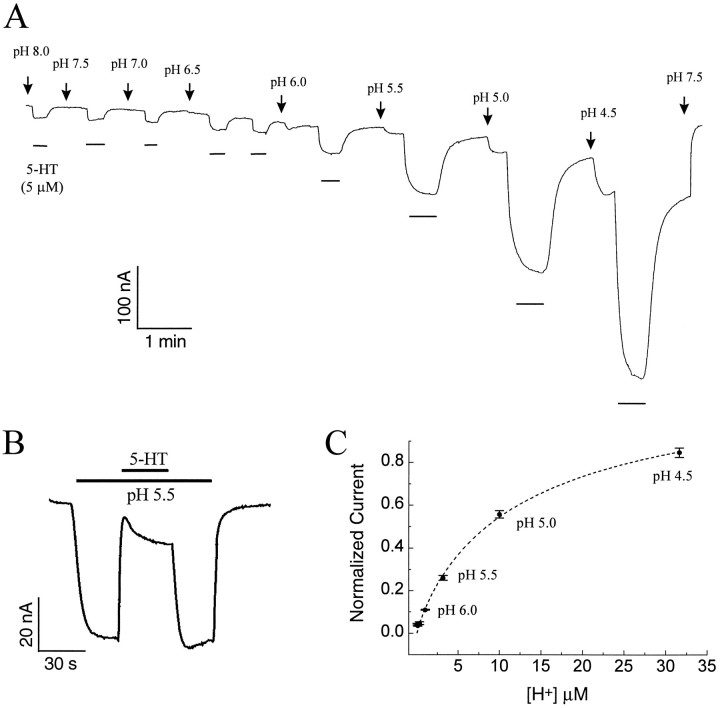 Fig. 5.